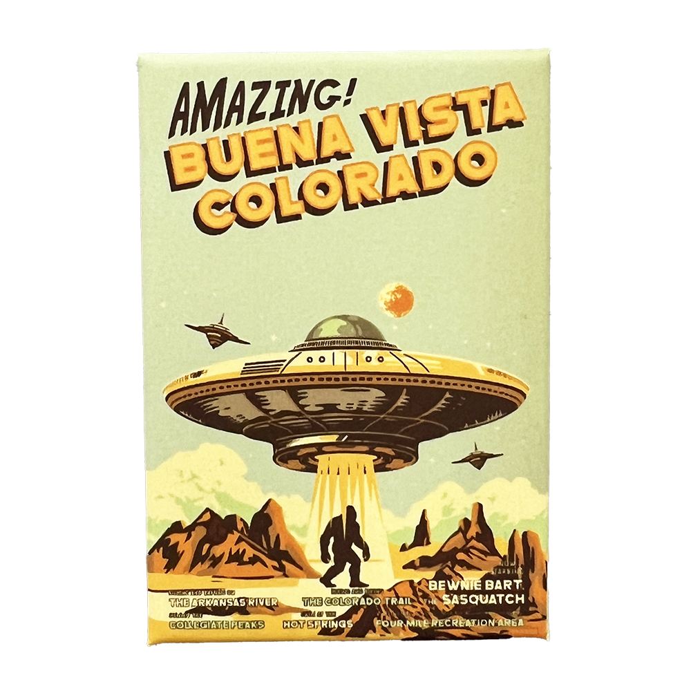 Amazing! Buena Vista Magnet