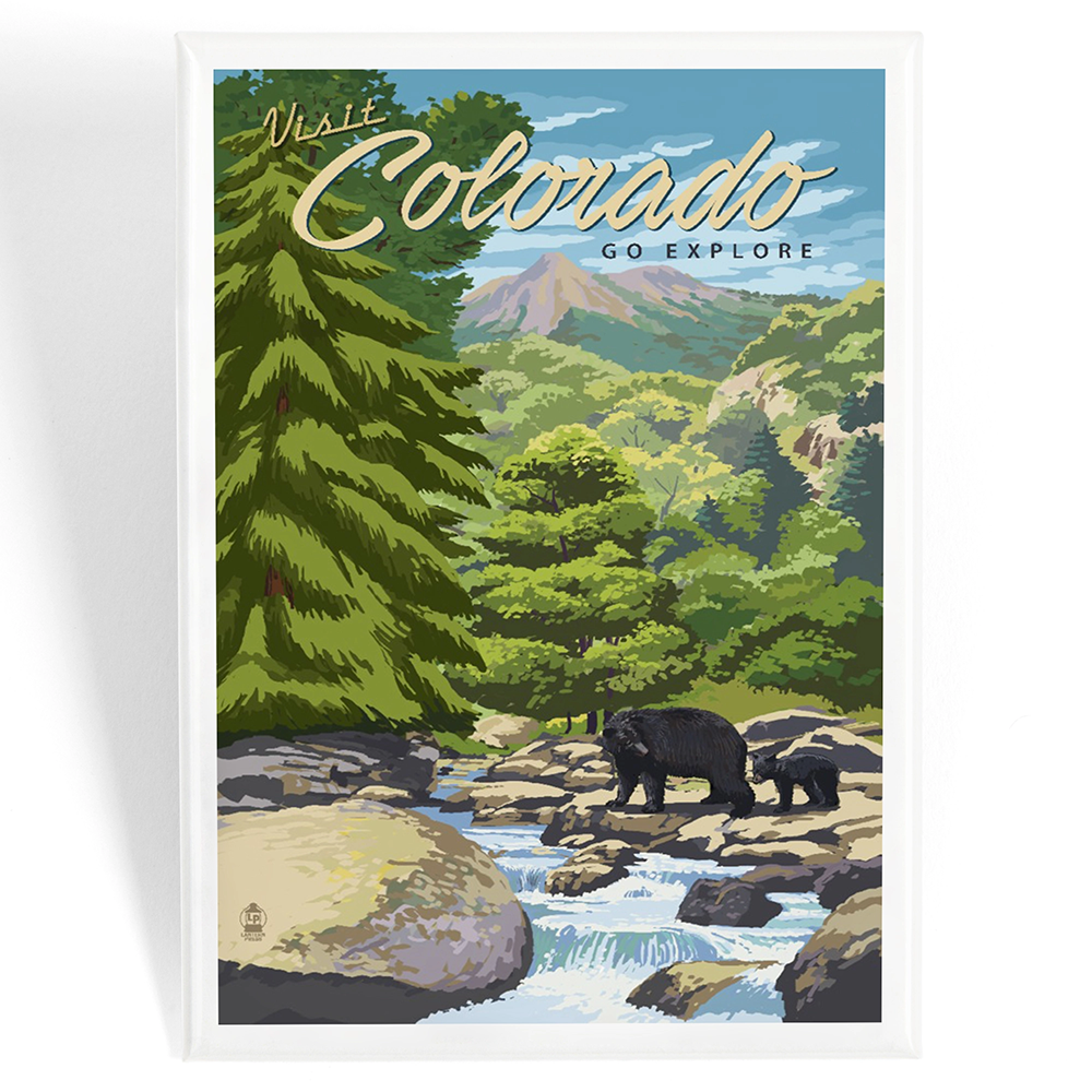 Visit Colorado Black Bear Magnet