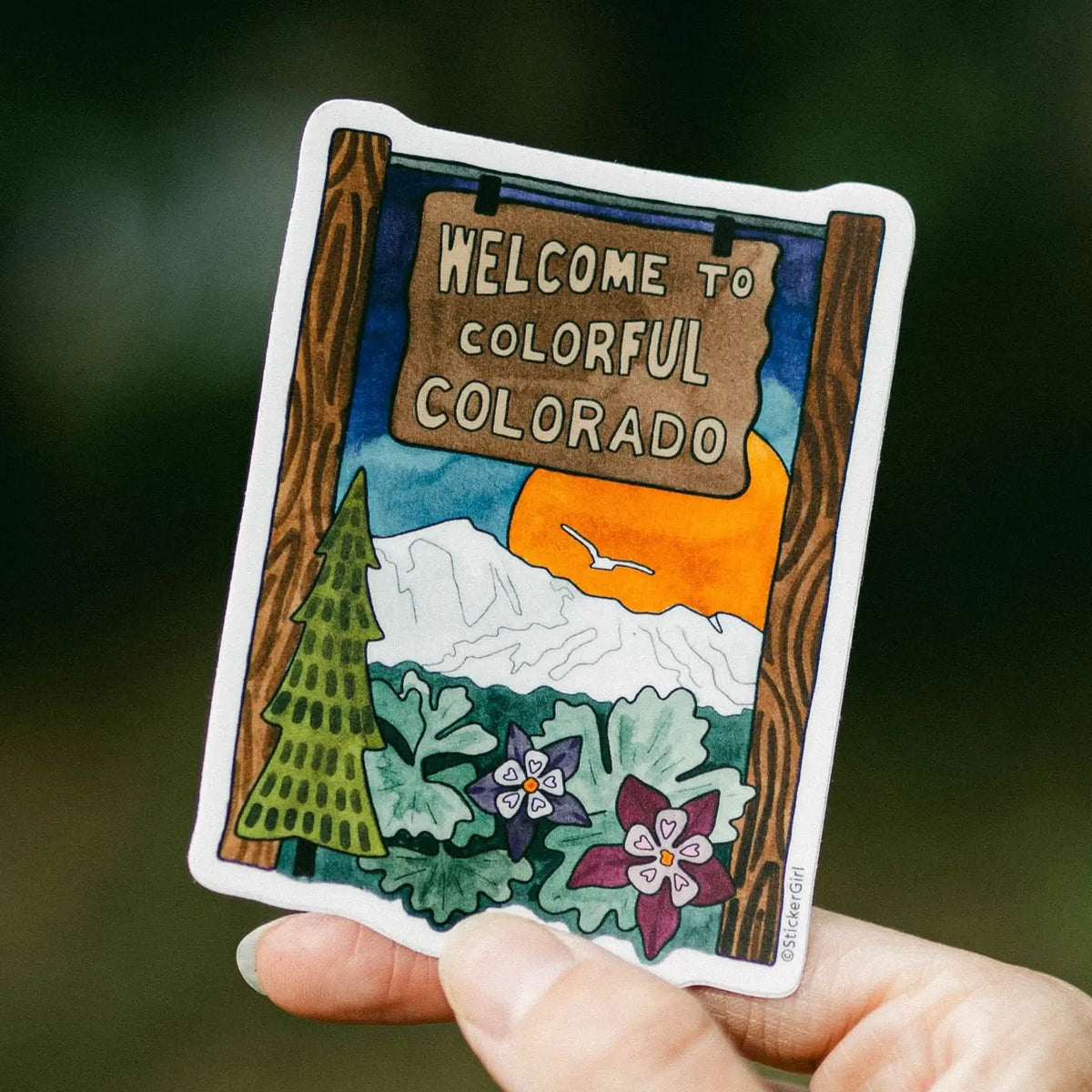 Colorful Colorado State Sign Sticker