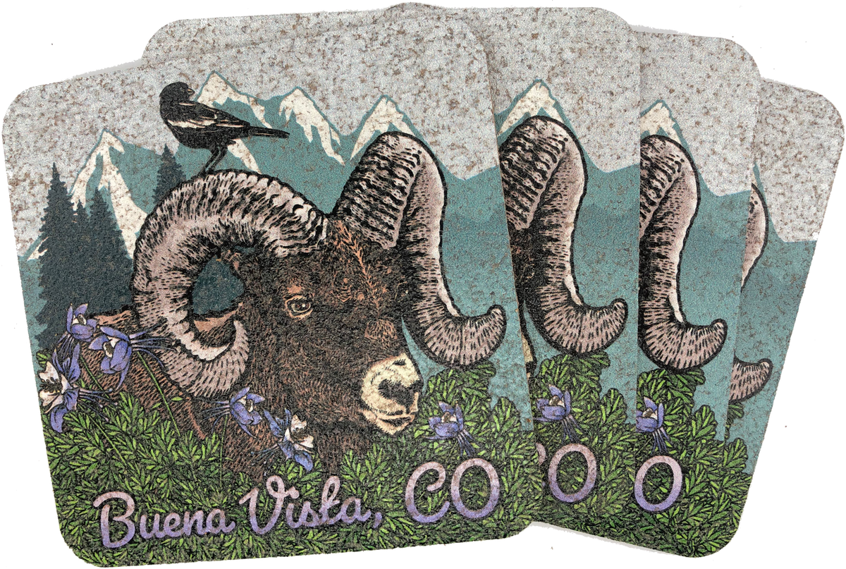 Bighorn Sheep Coaster