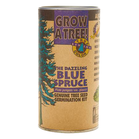 Colorado Blue Spruce Seed Kit