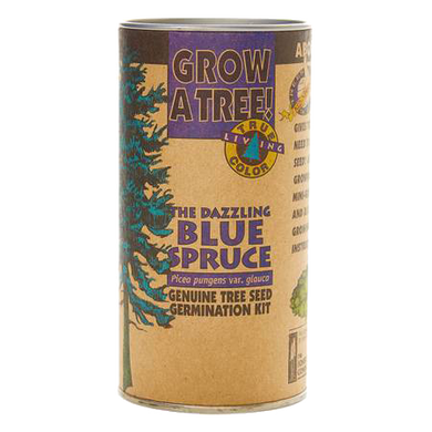 Colorado Blue Spruce Seed Kit