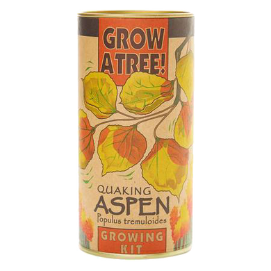 Quaking Aspen Seed Kit