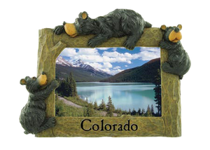 Willie Bear Frame